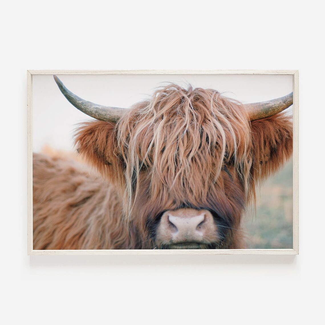 Brown Highland Cow Rustic Farmhouse Art Print