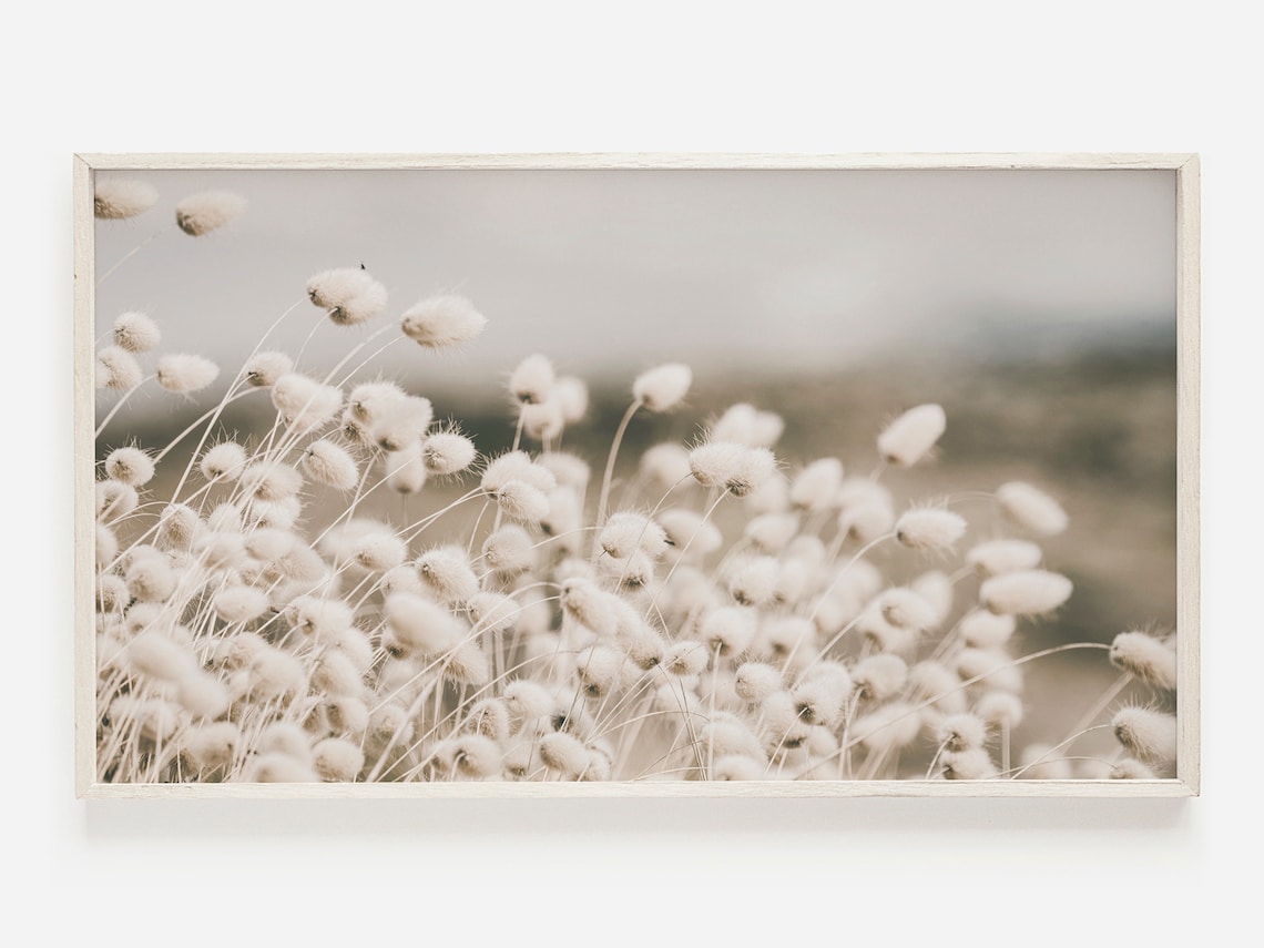 Bunny Tail Grass Art Print, Neutral Beach Photo