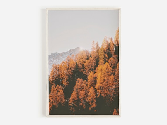 Golden Autumn Larch Forest Mountain Photography Poster Wilderness Scene