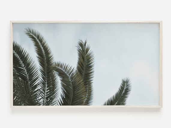Samsung Frame Tv Art Palm Leaves Photo Tropical Tree Print For Beach Palms