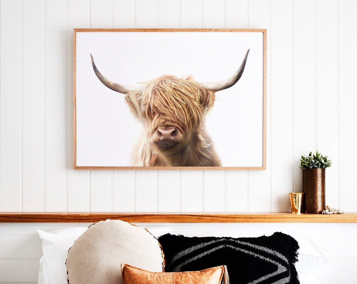 Highland Cow Art Print, Farm Animal Poster