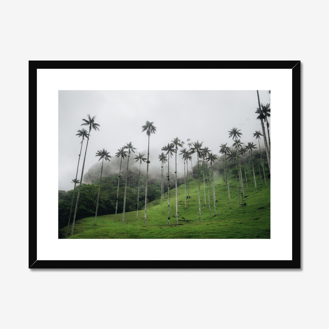 Cocora Valley, Salento Colombia Travel Poster