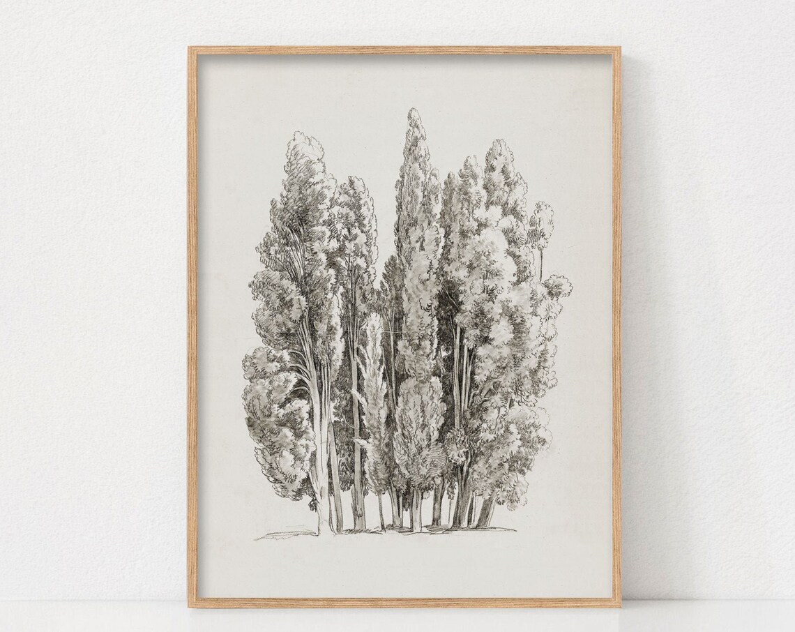 Vintage Tree Sketch Art Print, Rustic Botanical Drawing