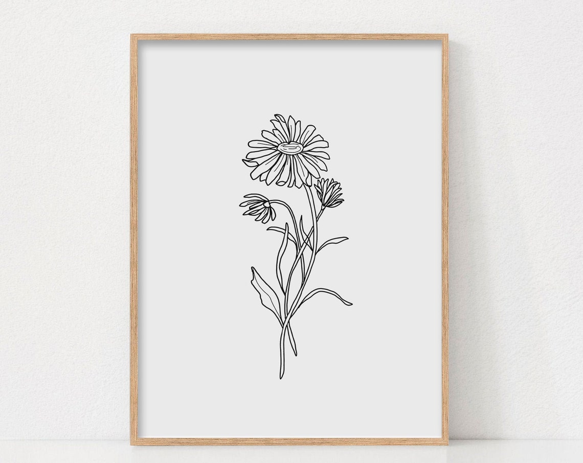 Daisy Line Art Floral Minimalist Poster