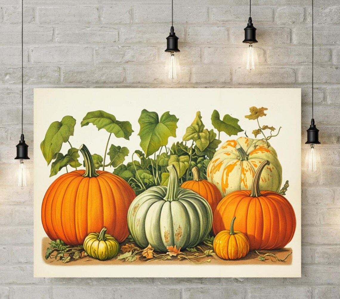 Heirloom Pumpkins Gourds Botanical Harvest Illustration Poster - Image 3