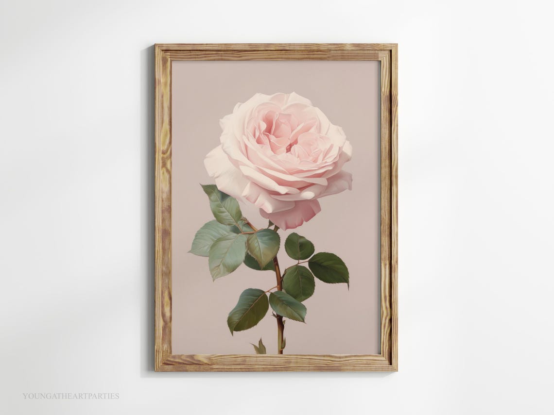 Blush Pink Single Rose Botanical Vintage Style Framed Wall Art - Image 4
