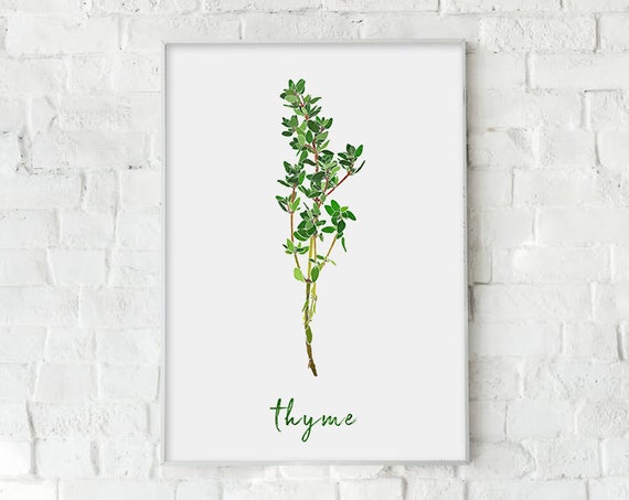 Thyme Herb Kitchen Decor Watercolor Print Food Wall Art Herbal Home Gift For Her