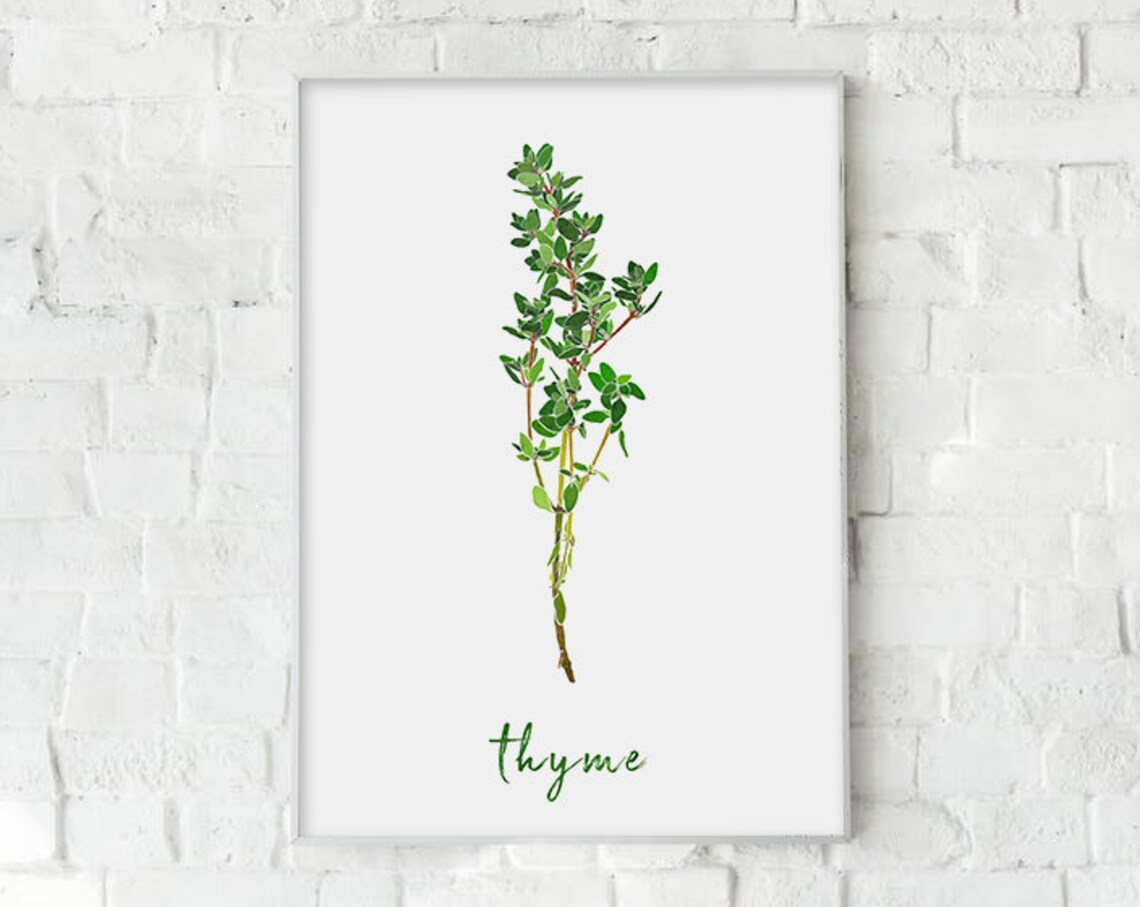Thyme Herb Watercolor Botanical Sprig Kitchen Minimalist Wall Art