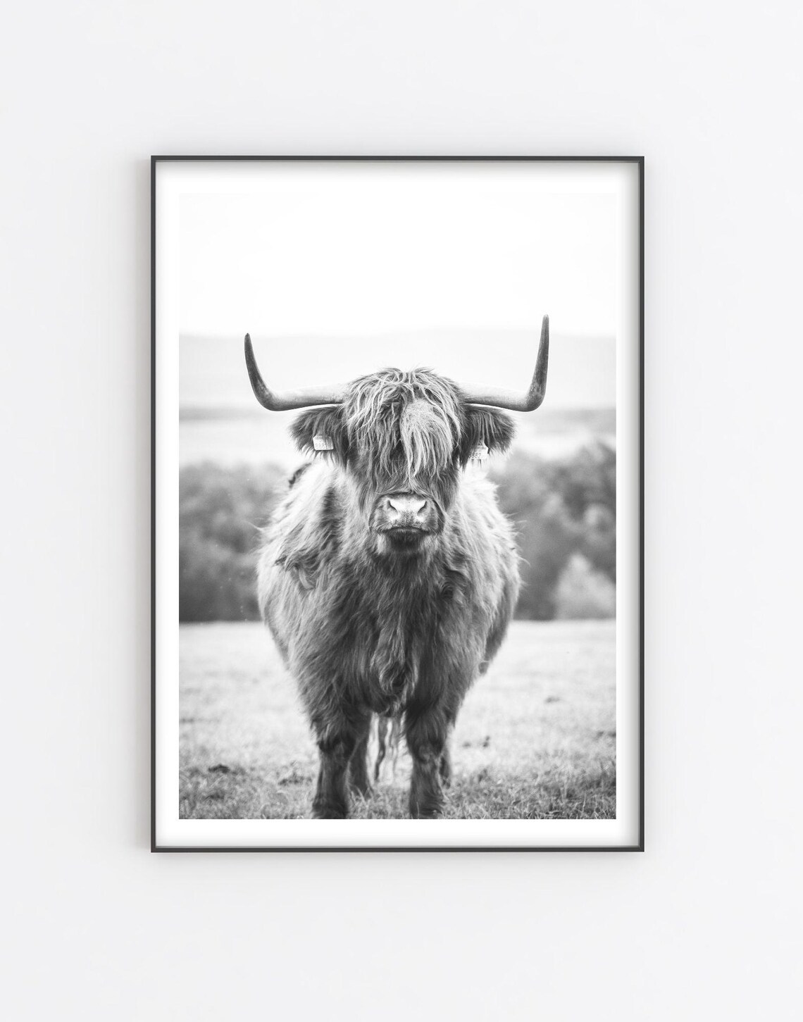 Highland Cow Portrait Black And White Farmhouse Animal Photo Print - Image 5