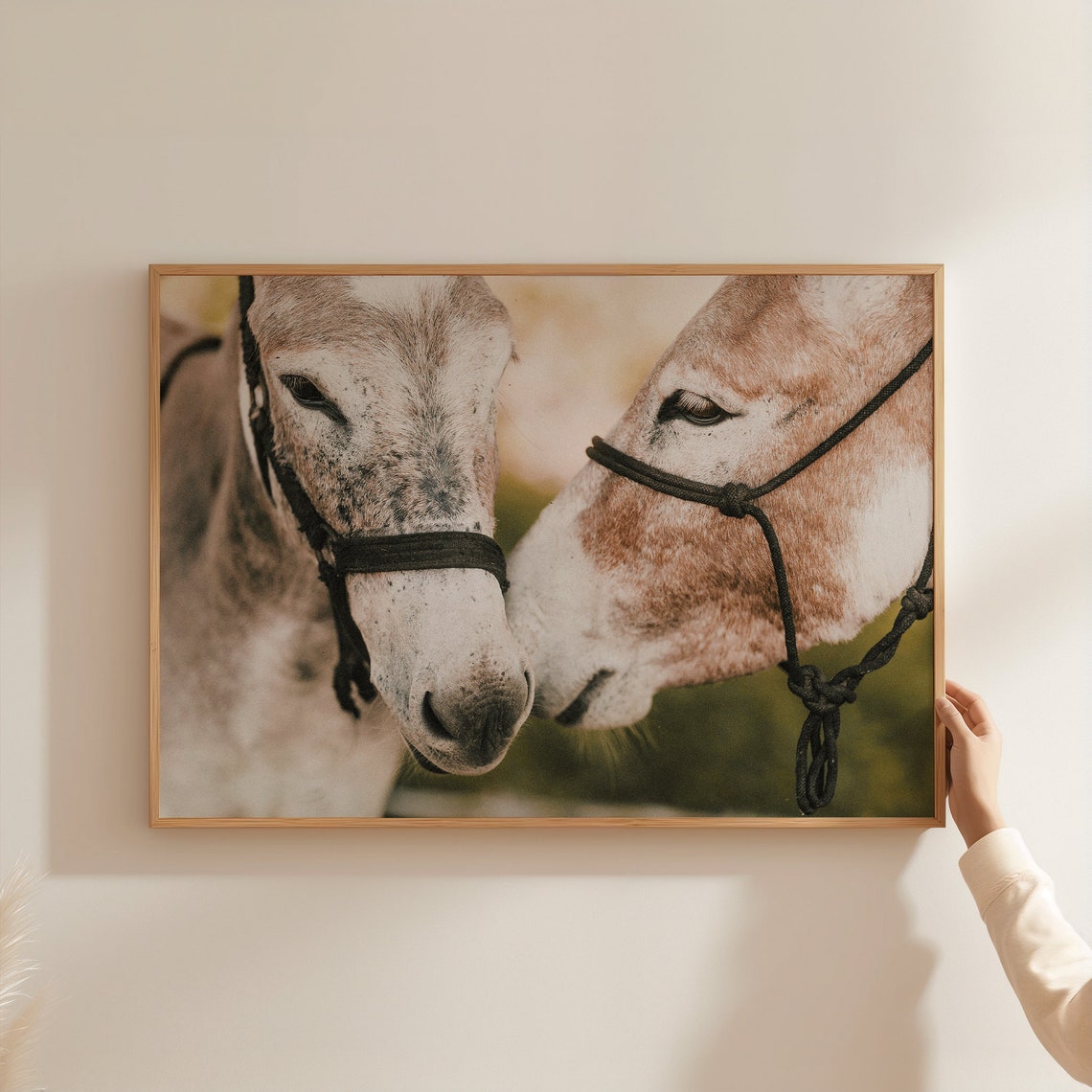 Two Mexican Burros Close Up Donkey Portrait Rustic Farm Photo Poster - Image 3
