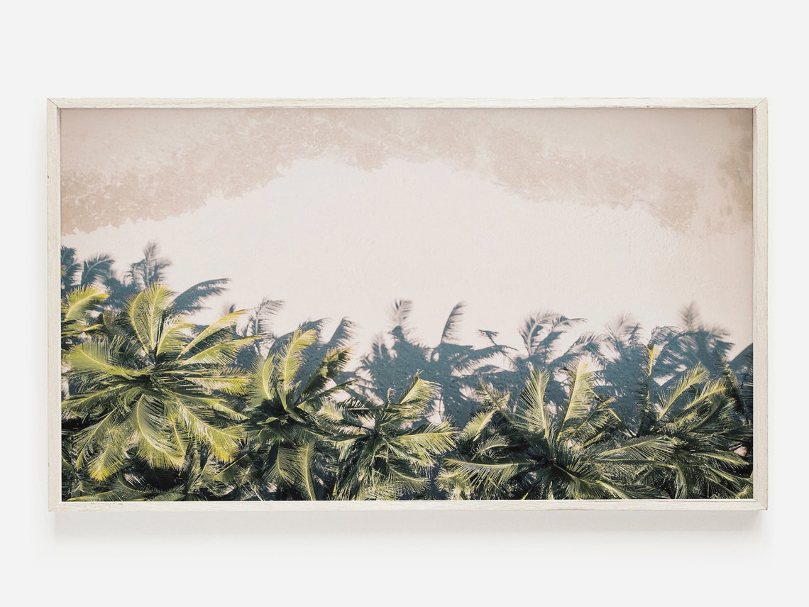 Aerial Palm Canopy White Sand Shadows Tropical Overhead Travel Poster