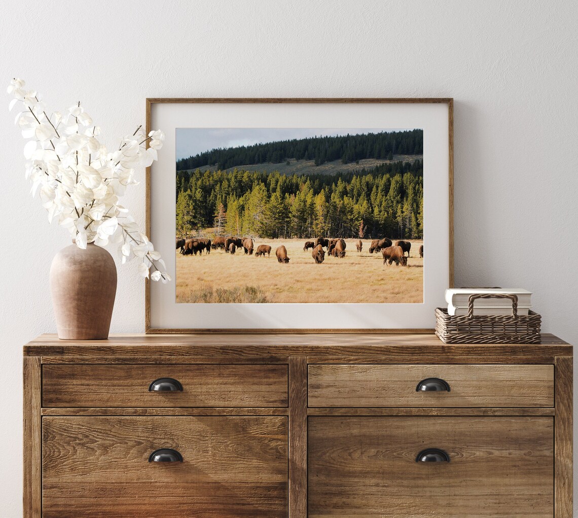 Bison In Field Landscape Photography, Rustic Western Art Print - Image 3