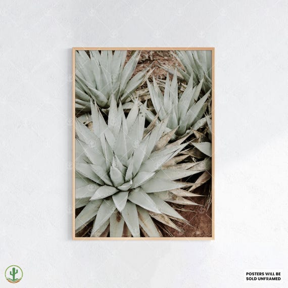 Agave Plant Wall Art Minimalist Botanical Print In Soft Sage Green Desert Succulent Poster For Modern Boho Decor