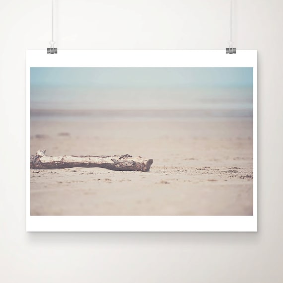 Pastel Driftwood on Sandy Beach Soft Coastal Photo Wall Poster
