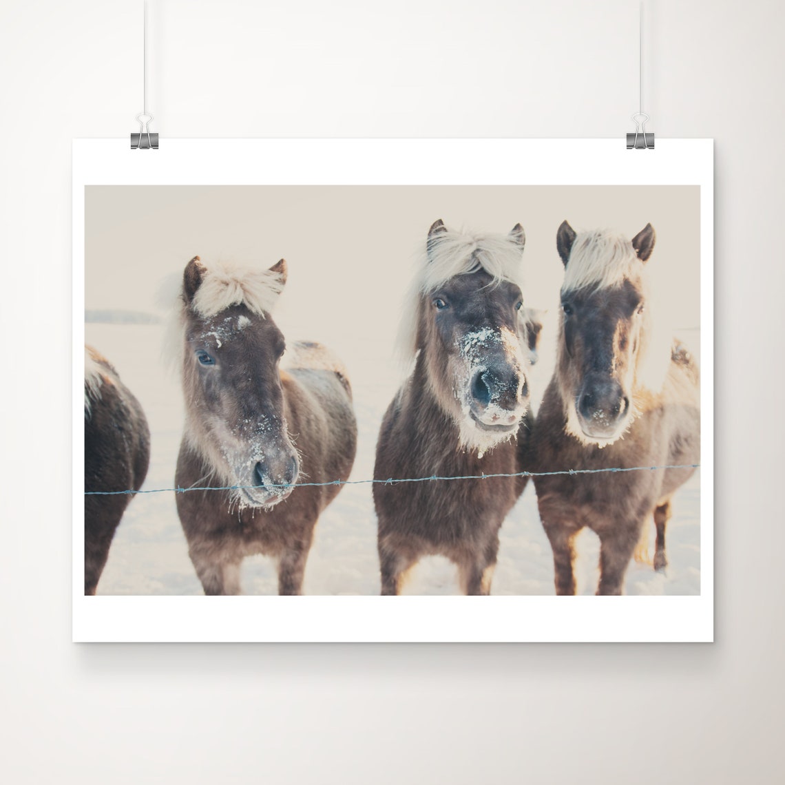 Brown Horses with Frosty Coats in Snow Portrait Photograph Poster