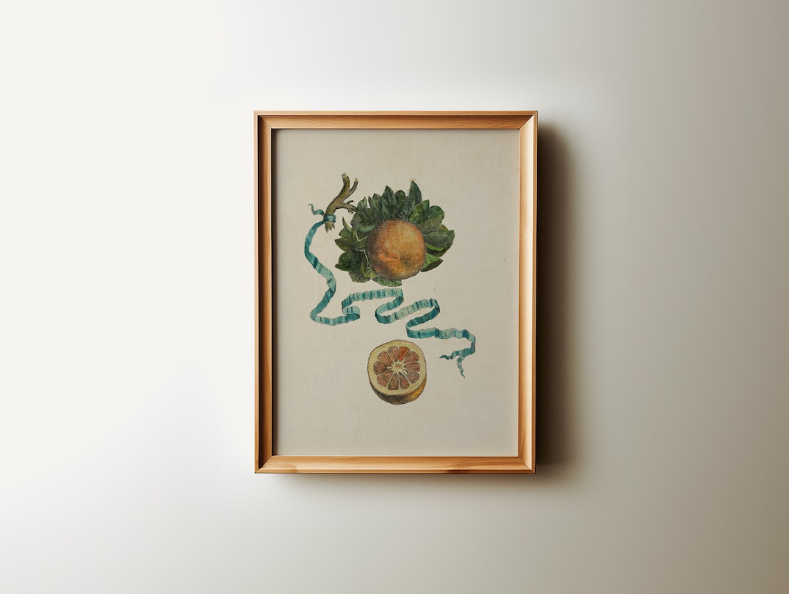 Vintage Botanical Citrus Art Print, Kitchen Decor - Image 3