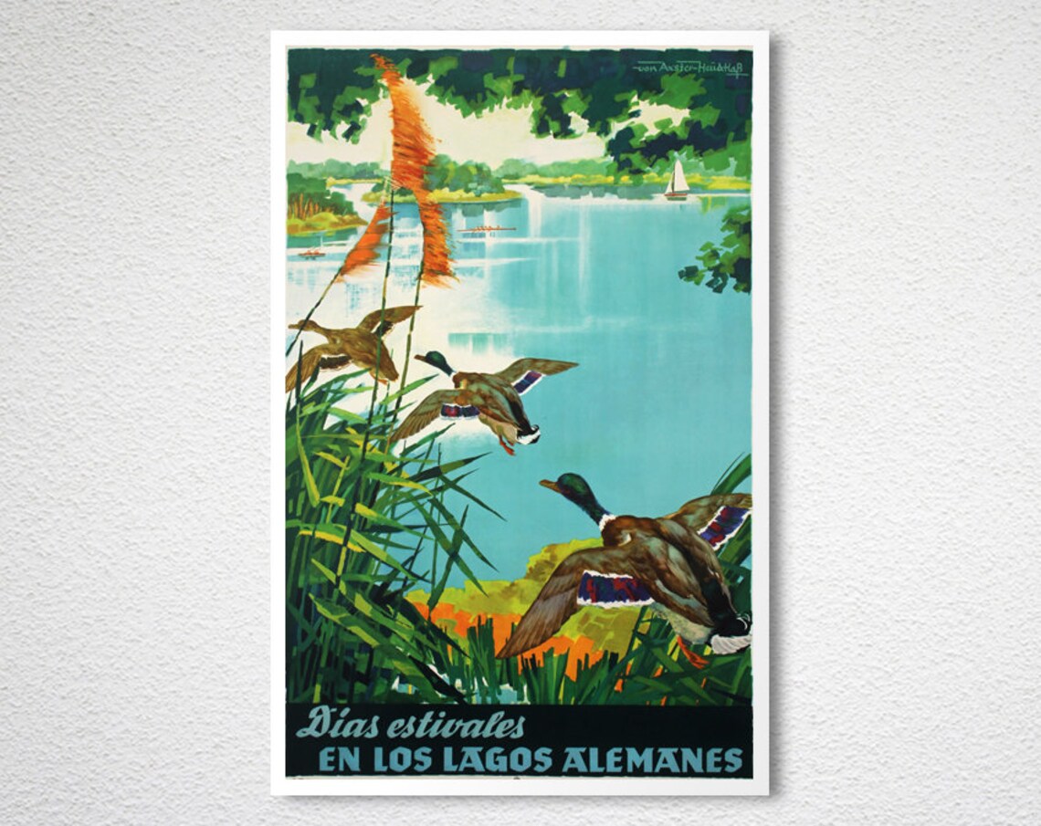 Dias Estivales en los Lagos Alemanes Ducks Flying Over Lake Poster - Image 2