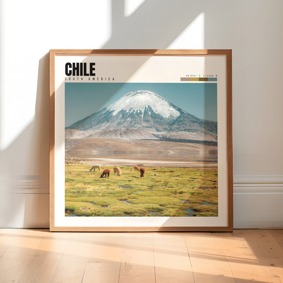 Chile Altiplano Snow Capped Volcano Vicunas Grazing Travel Poster
