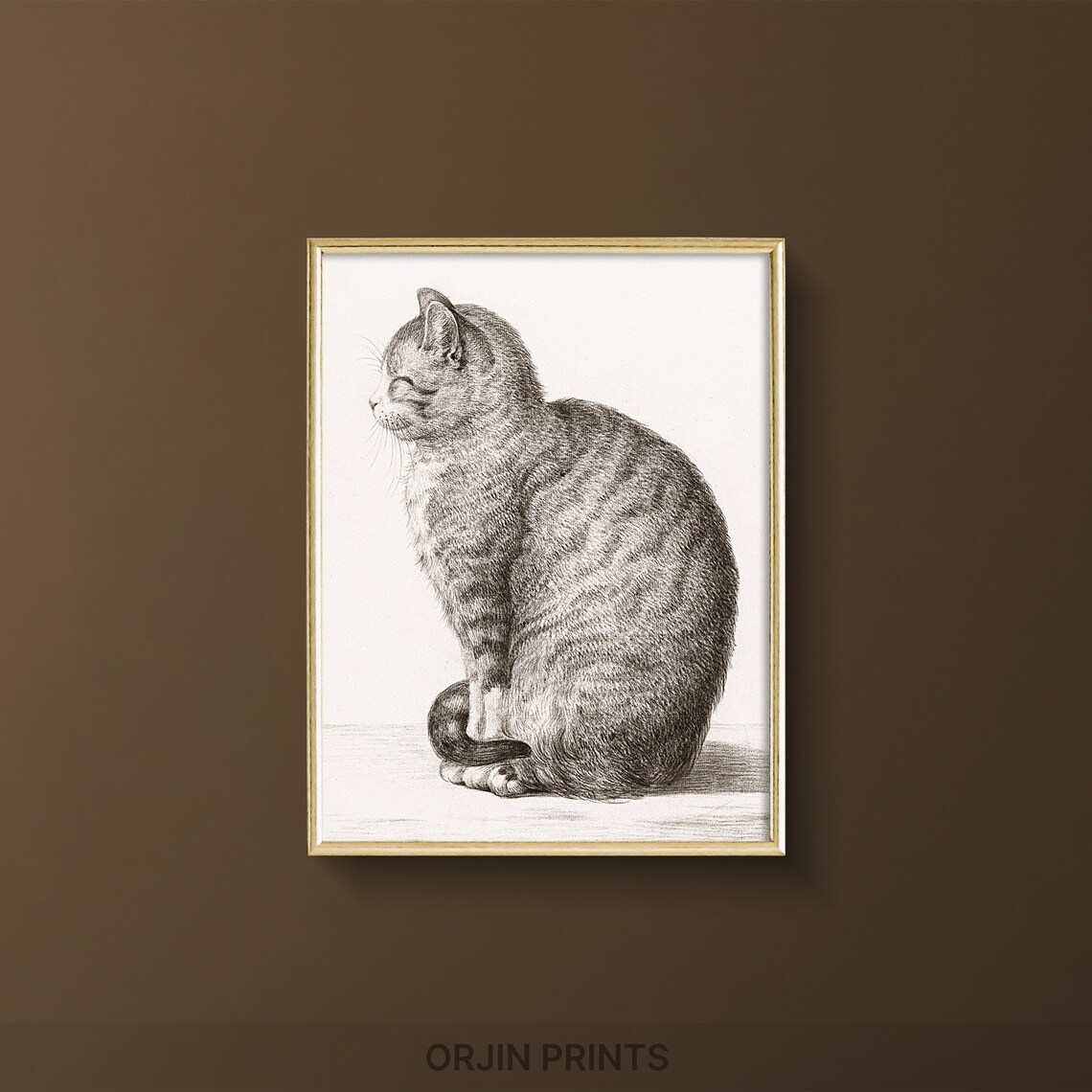 Vintage Tabby Cat Engraving Detailed Antique Feline Sketch Wall Art