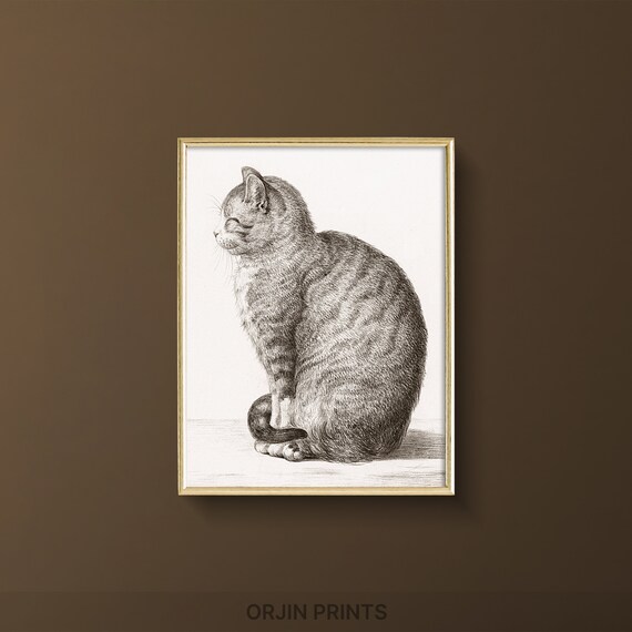 Vintage Tabby Cat Engraving Detailed Antique Feline Sketch Wall Art