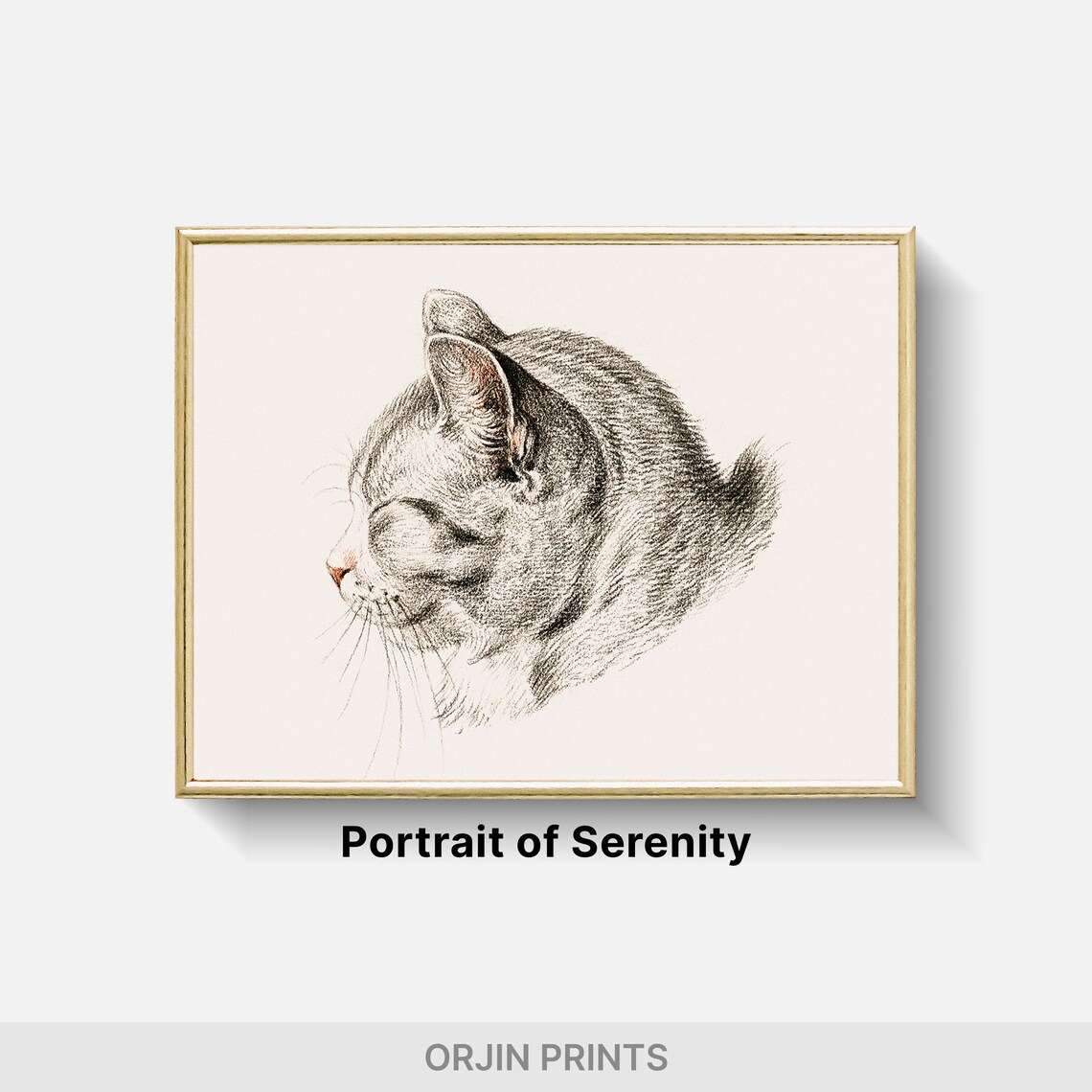 Sleeping Tabby Cat Sketch Minimalist Feline Drawing Art Poster - Image 2