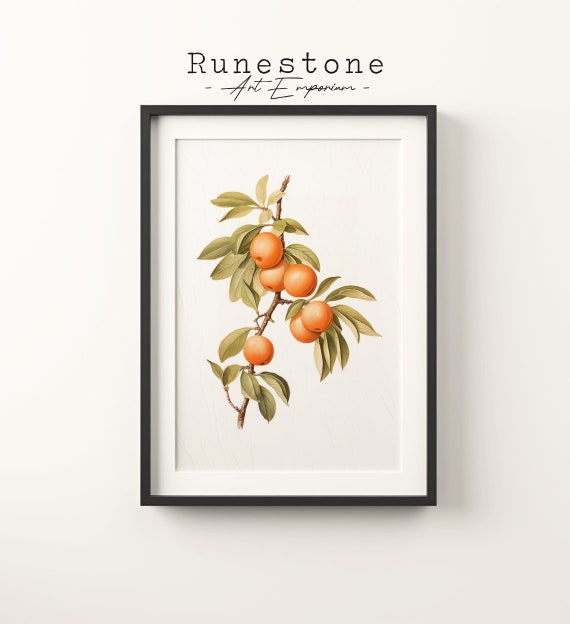 Vintage Apricot Branch Sketch Tropical Fruit Boho Wall Art Minimalist Bohemian Hand Drawn Nature Print