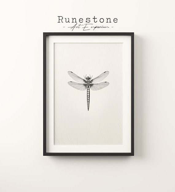 Dragonfly Pencil Sketch Minimalist Botanical Insect Drawing Poster
