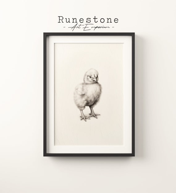 Vintage Baby Chick Sketch Print Farmhouse Wall Art Minimal Portrait Pencil Drawing Decor Easter
