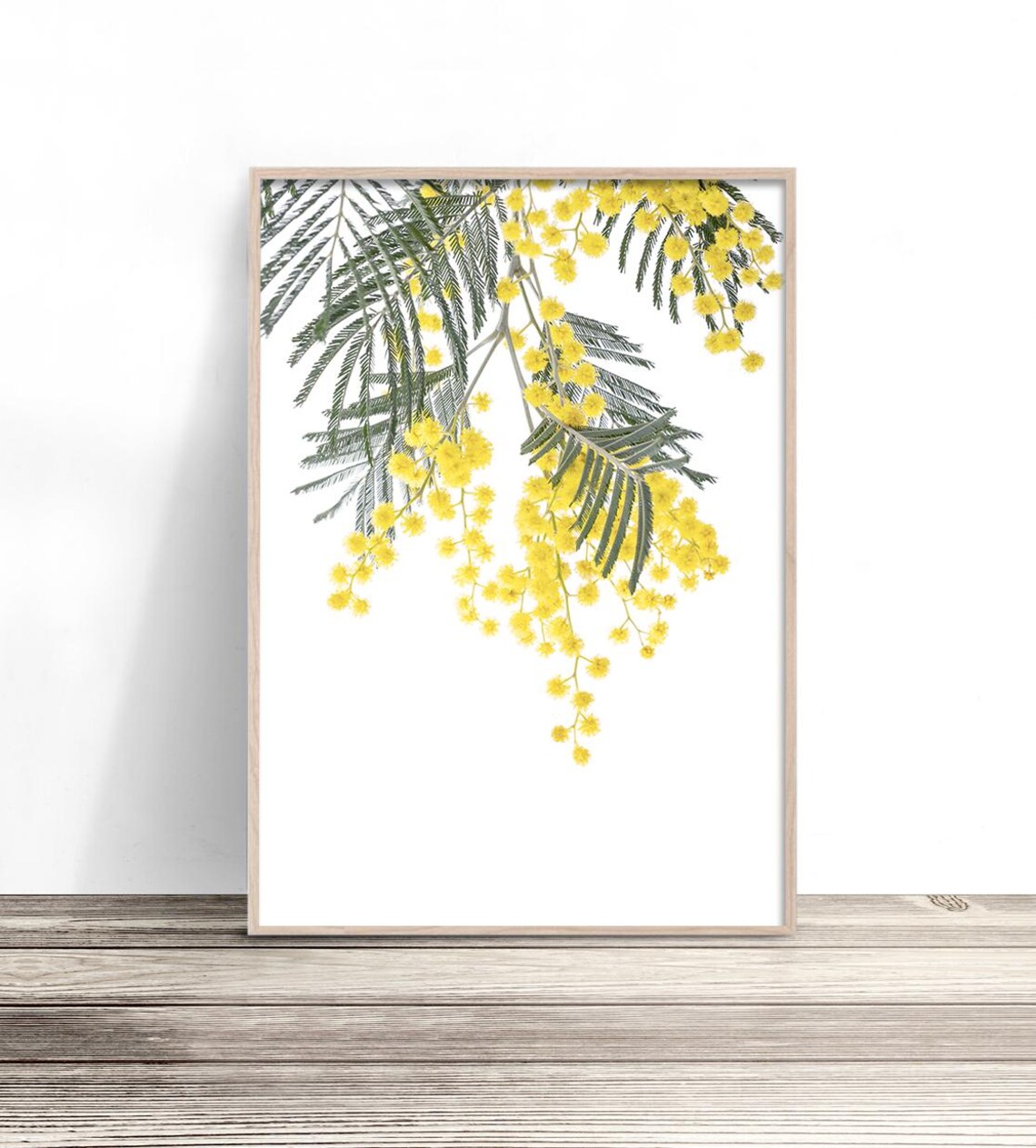 Wattle Yellow Flower Australian Native Botanical Print
