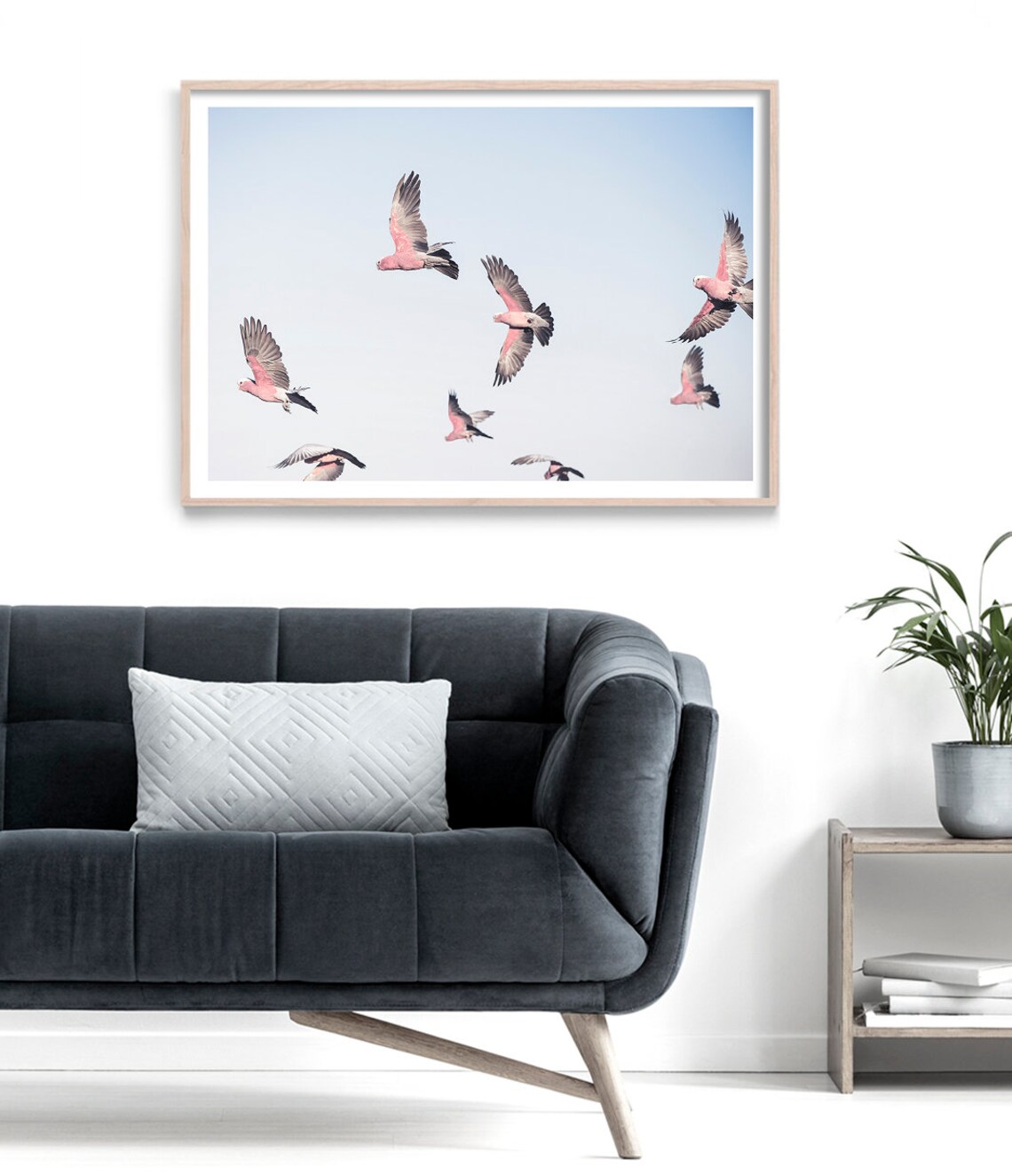 Cockatoo and Galah Australian Bird Art Print - Image 3