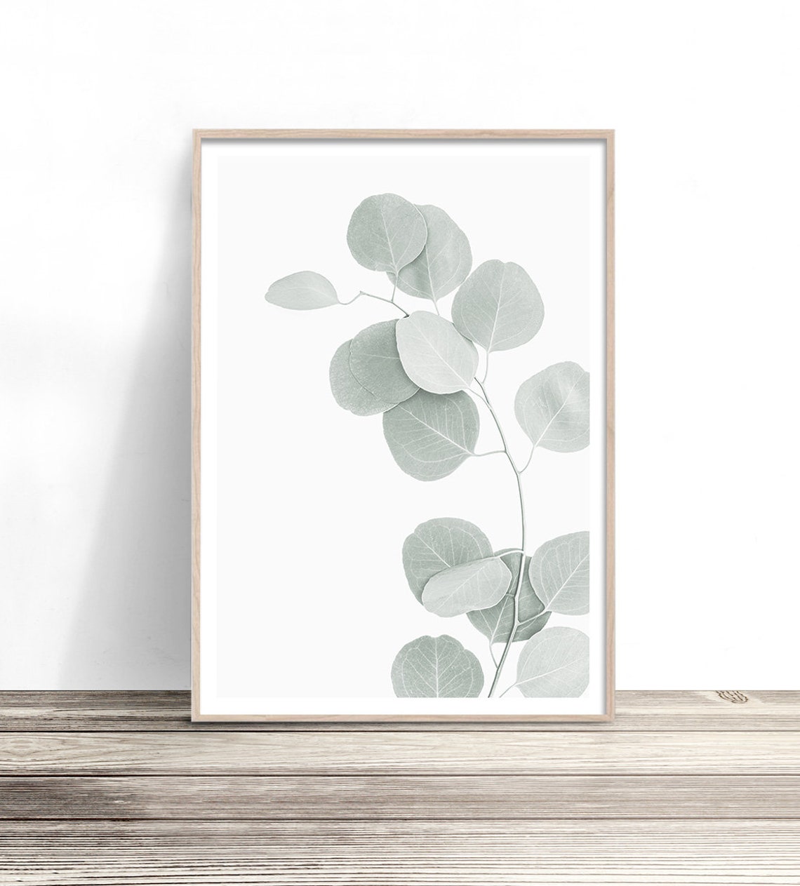 Silver Dollar Eucalyptus Branch Sage Green Botanical Wall Art Poster