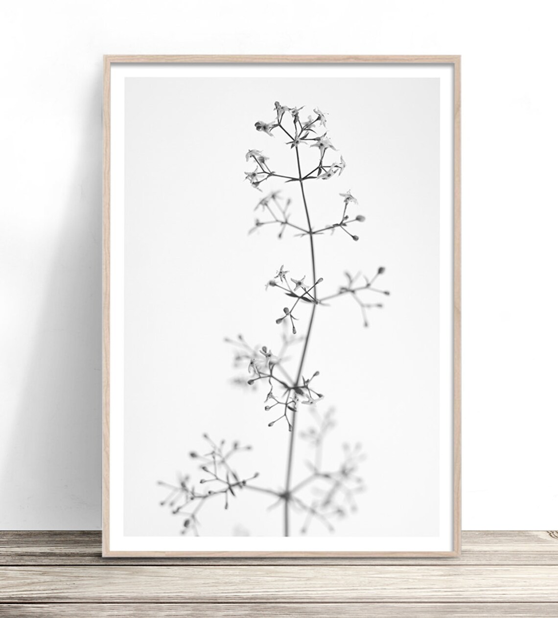 Black and White Flower Photography, Scandi Decor