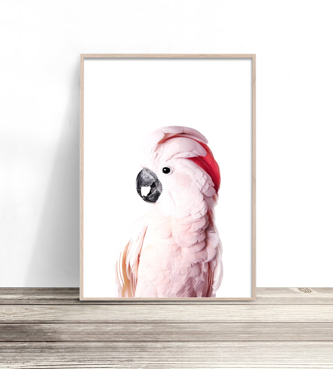 Pink Cockatoo, Native Australia Bird Poster Print