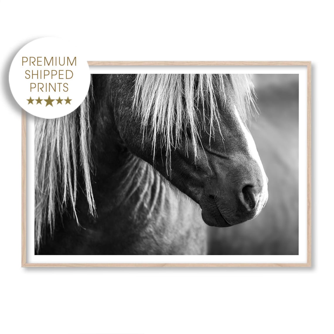 Horse Black and White Photography Large Wall Art Print