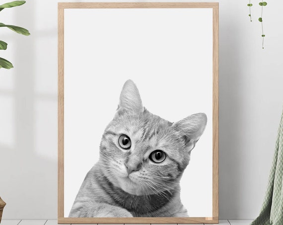 Cat Poster Print Black And White Photo Nursery Farm Animal Wall Art Modern Minimalist Home Decor Portrait Gift For Lovers