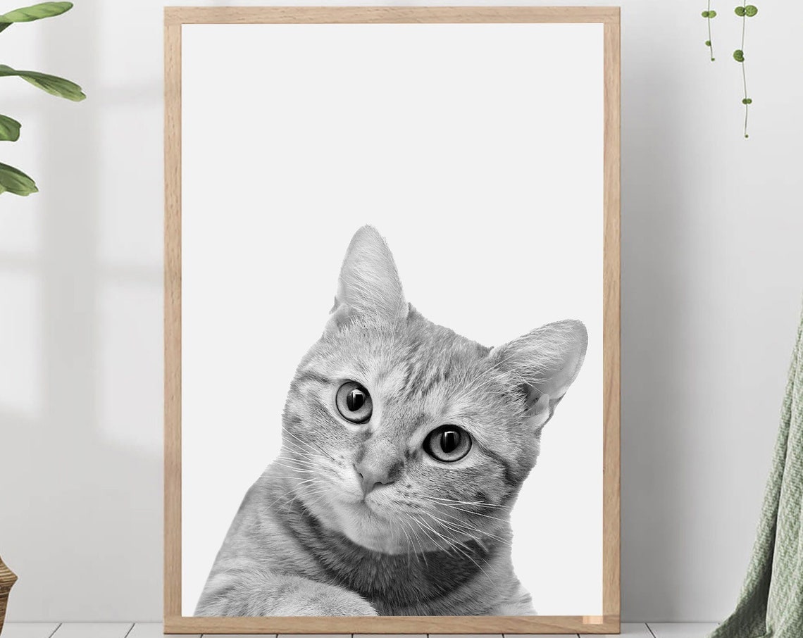 Tabby Cat Close-Up Portrait Black and White Photo Nursery Print