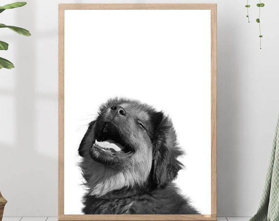Cute Dog Portrait Print Black And White Photo Nursery Animal Wall Art Modern Minimalist Home Decor Pet Gift For Lovers