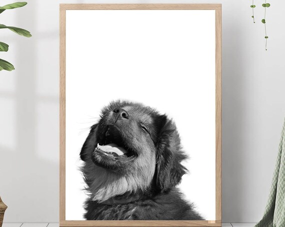 Happy Puppy Close-Up Portrait Black and White Photo Nursery Print