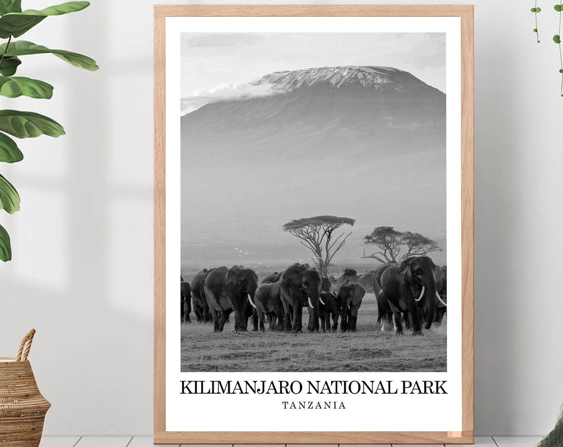 Kilimanjaro National Park Black White Poster Print