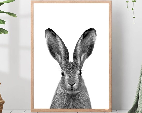 Curious Rabbit Face Black And White Portrait Animal Nursery Poster