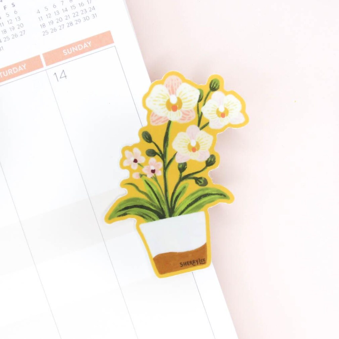 Potted White Orchid Flowers Die Cut Sticker Style Botanical Art Print