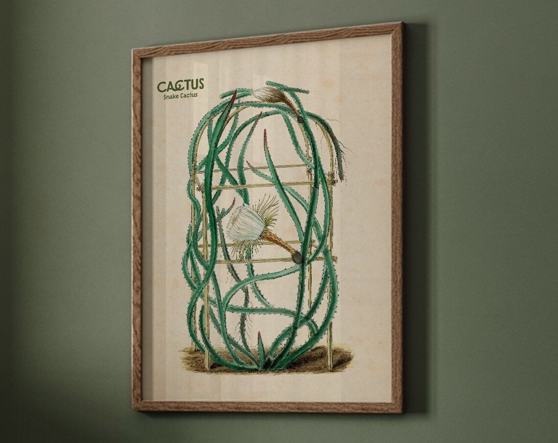 Cactus Wall Art, Desert Botanical Nursery Decor