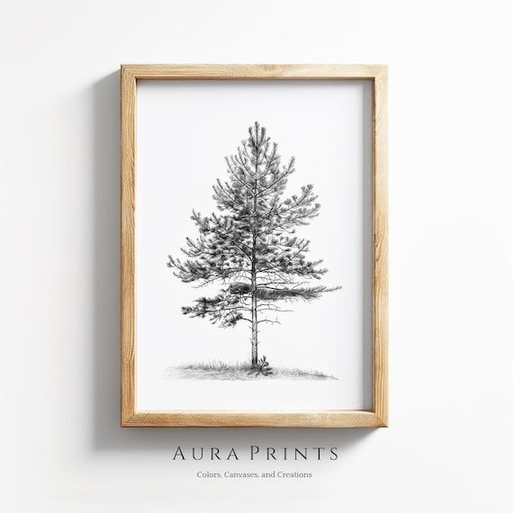 Pine Tree Pencil Art, Neutral Cottage Nursery Print