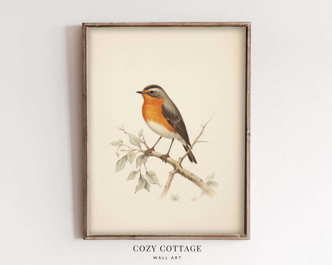Robin Bird Vintage Style Painting, Cottage Spring Decor - Image 2