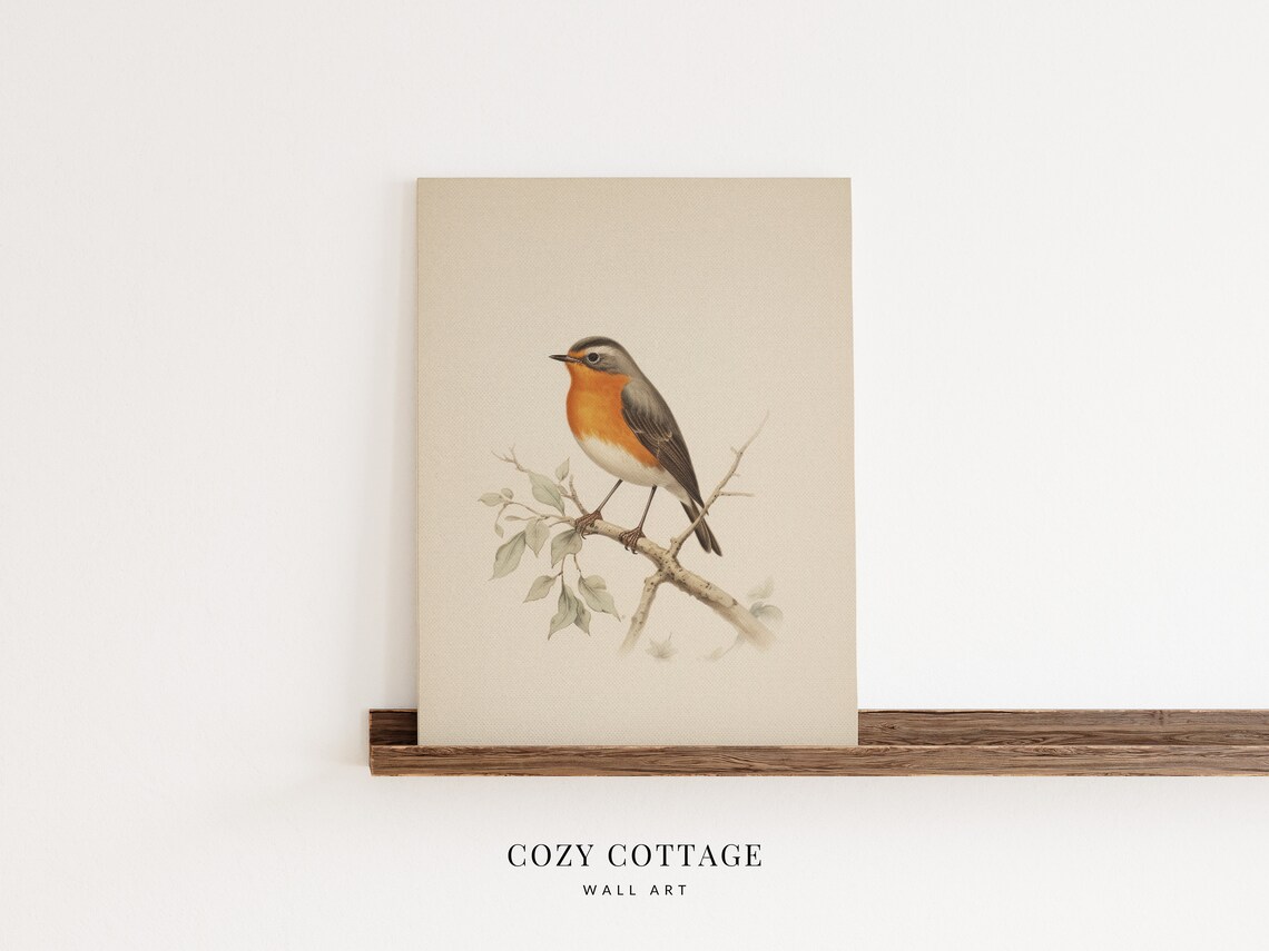 Robin Bird Vintage Style Painting, Cottage Spring Decor - Image 2