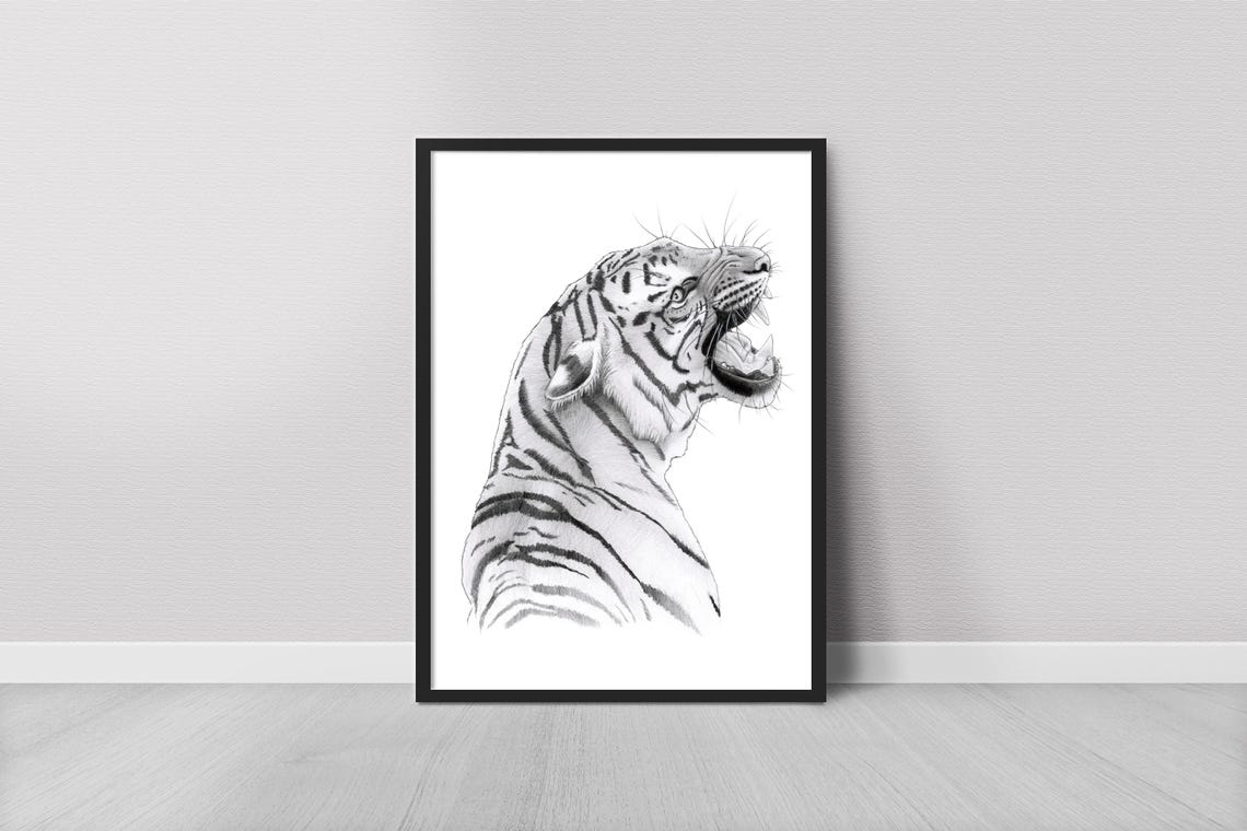 White Tiger Graphite Pencil Drawing Roaring Head Sketch Art Print