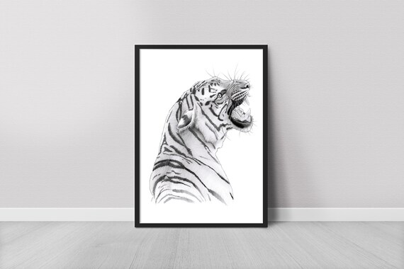 Print Tiger Graphite Pencil Drawing Sketch Artwork