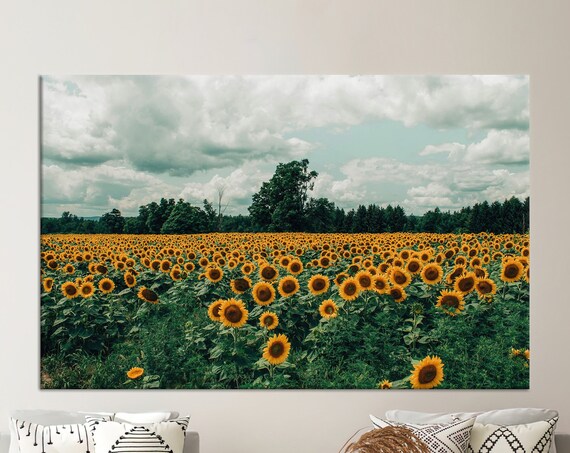 Sunflower Field Full Bloom Summer Countryside Meadow Wall Art