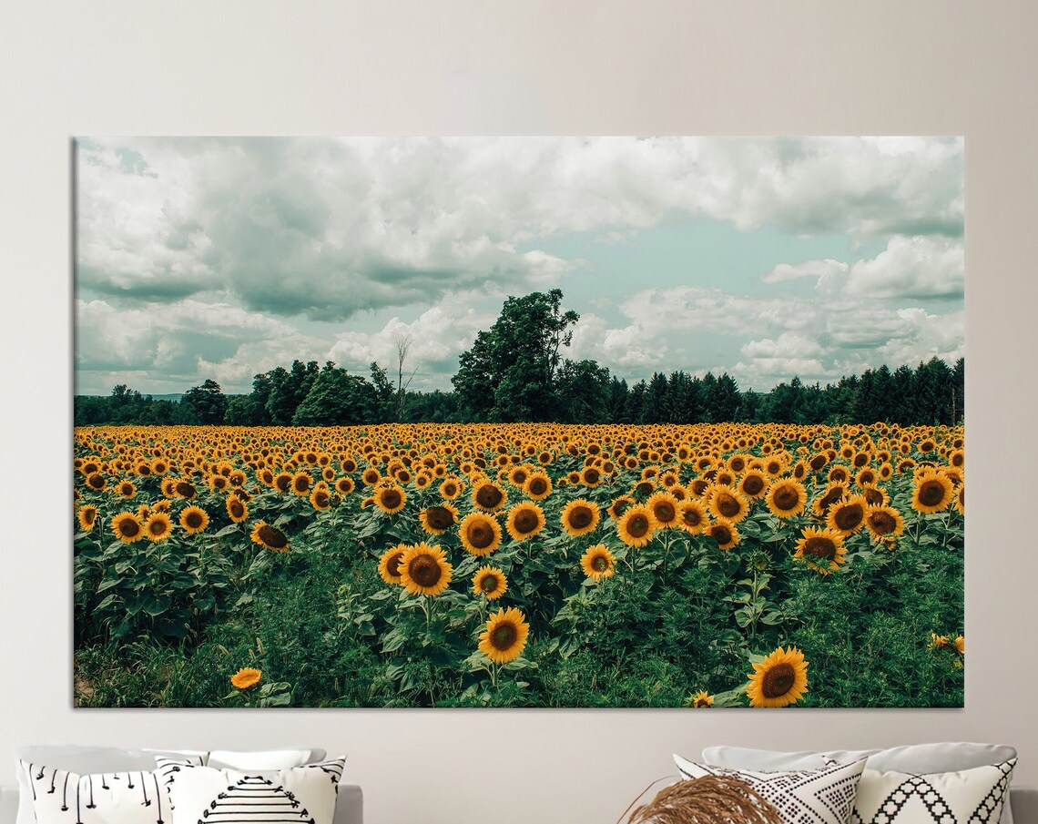 Sunflower Field Full Bloom Summer Countryside Meadow Wall Art
