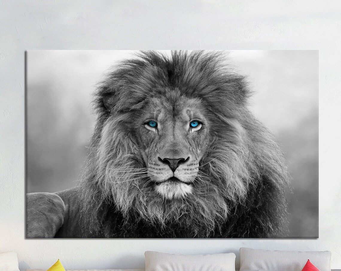 Black and White Lion Portrait with Piercing Blue Eyes Wildlife Poster